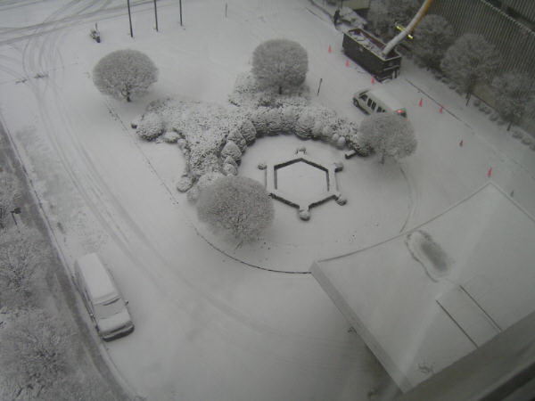 Snow on the ground Saturday morning at the Stamford Marriott (who else but a Florida boy would bother with this picture!)